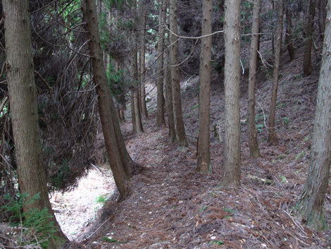 20131124hike (206)